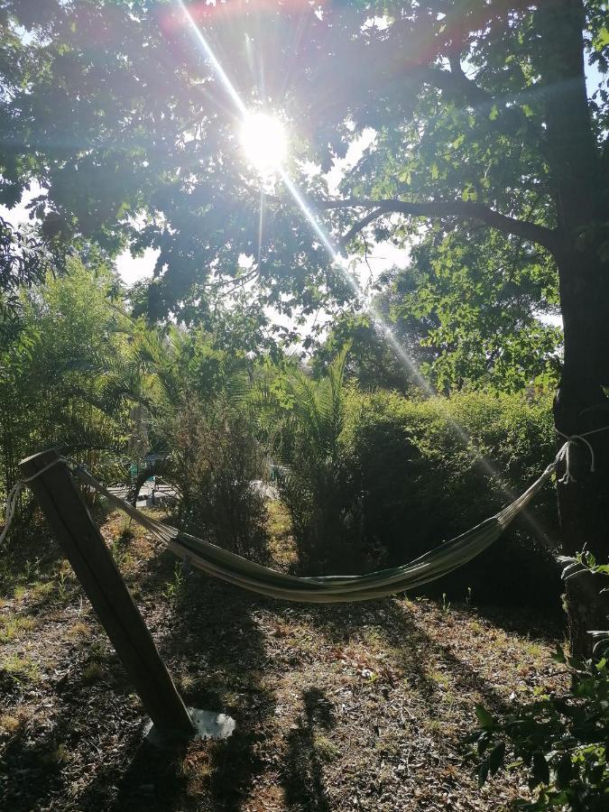 Vivenda A Nossa Coroa Villa Coja Exteriör bild